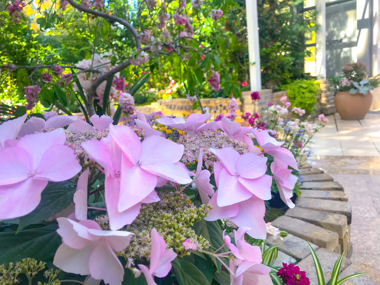 植物園温室