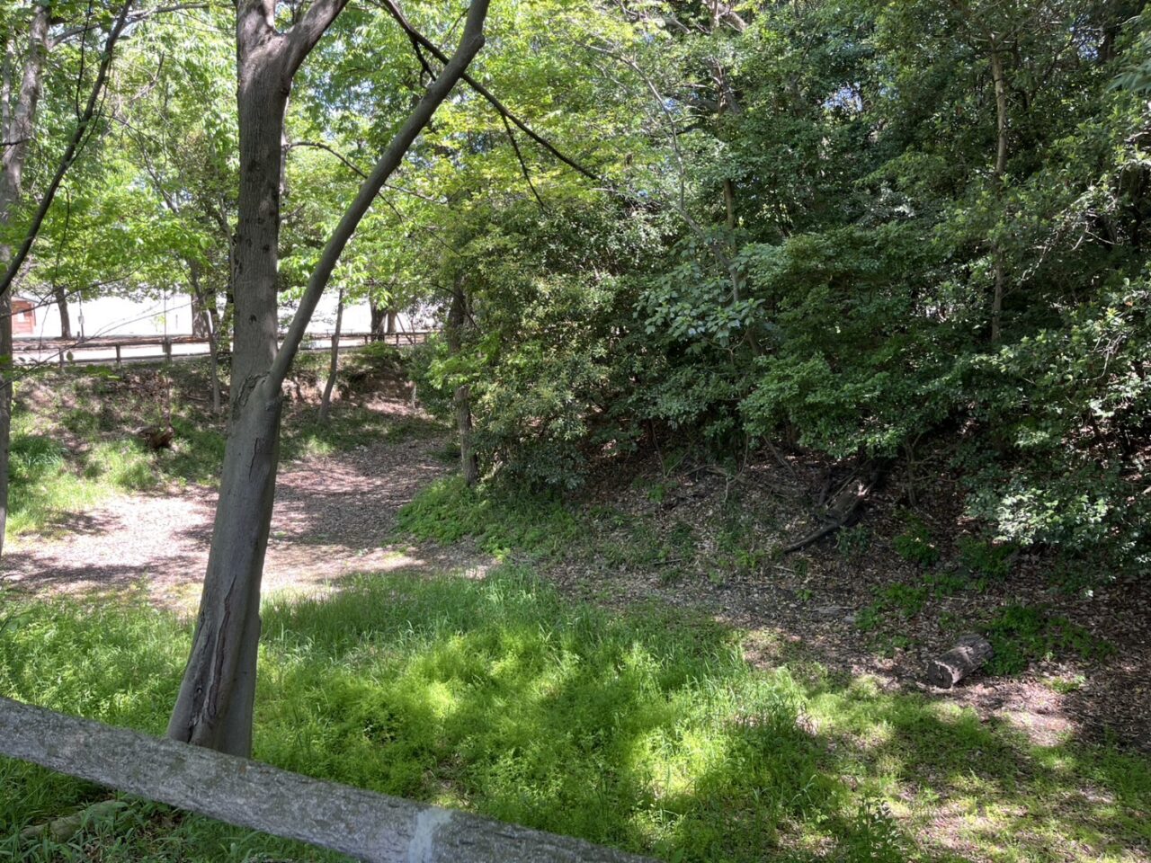 二子山古墳４