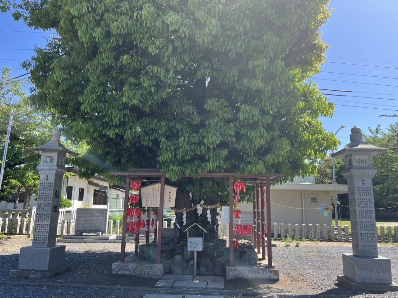 白山神社４