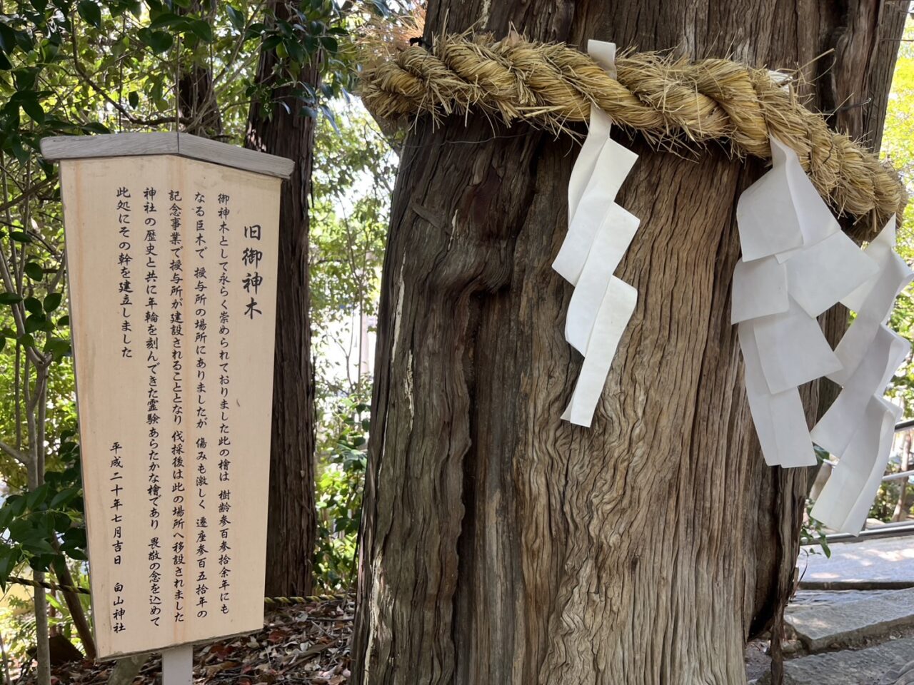 白山神社12