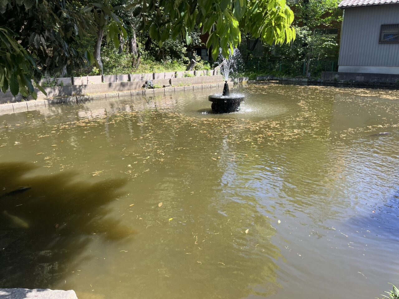白山神社古墳４