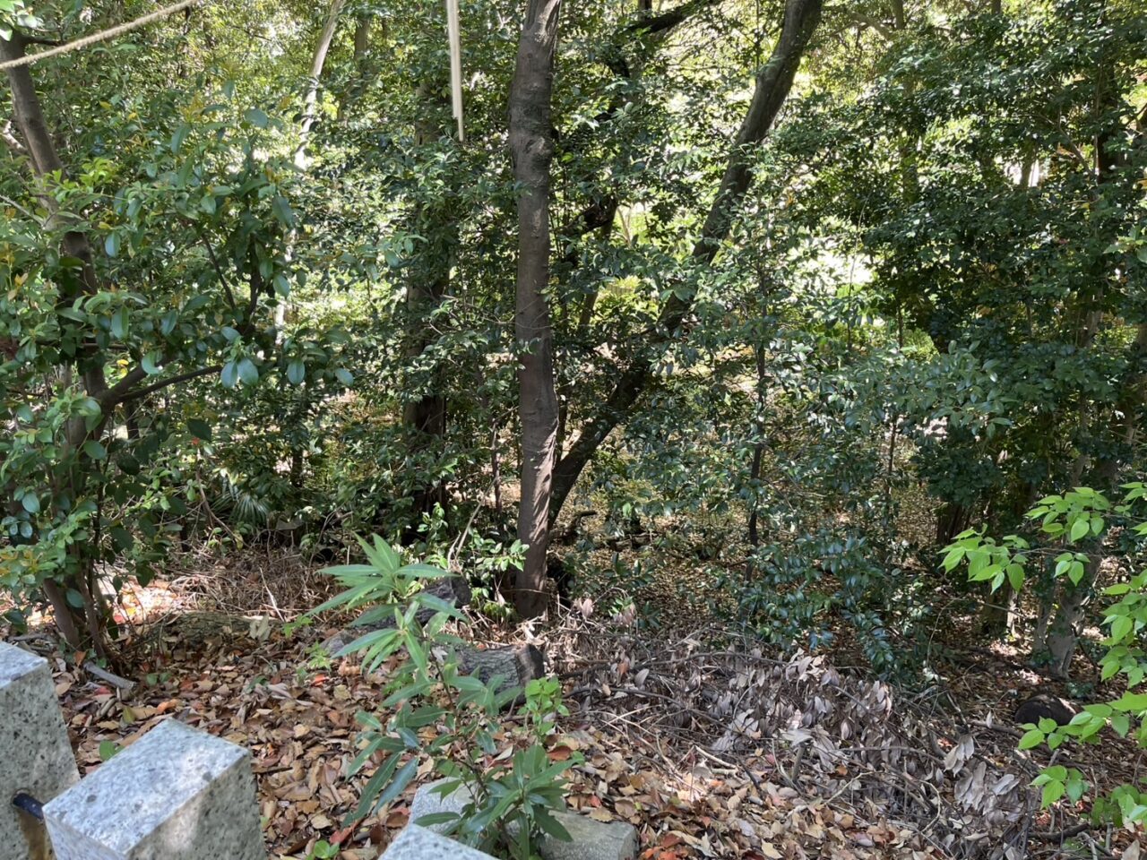 白山神社古墳６
