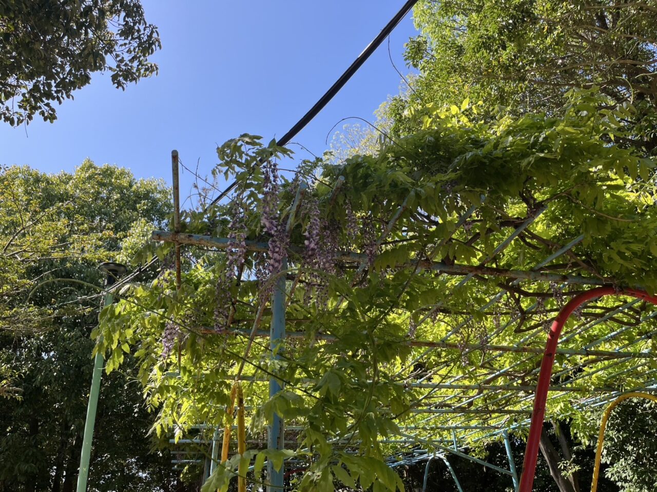 春日井古墳９