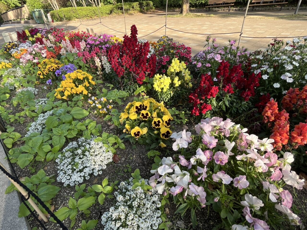 朝宮公園９