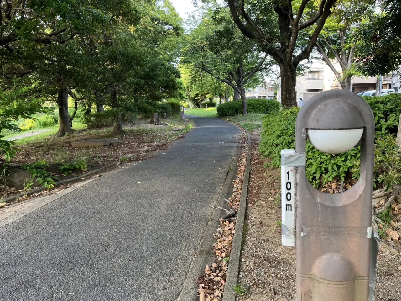 ふれあい緑道２