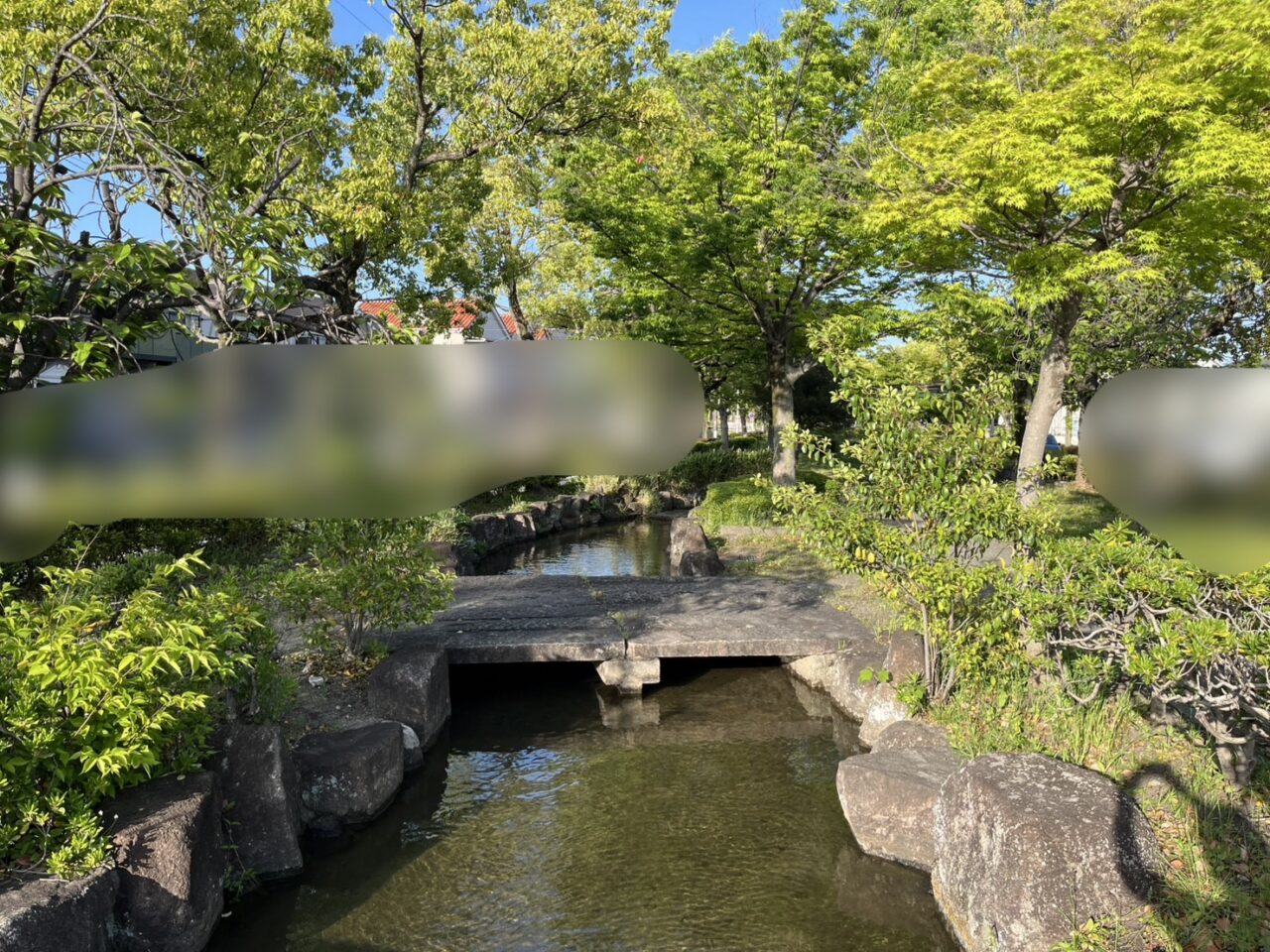 ケローナ通り８