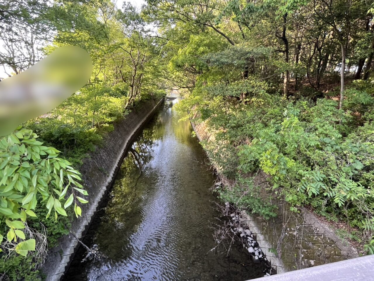 朝宮公園４
