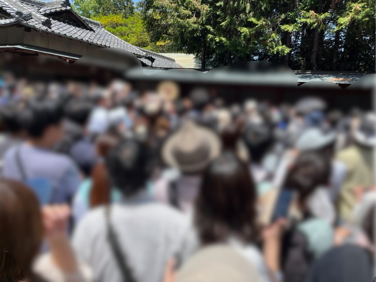 柏井八幡社５