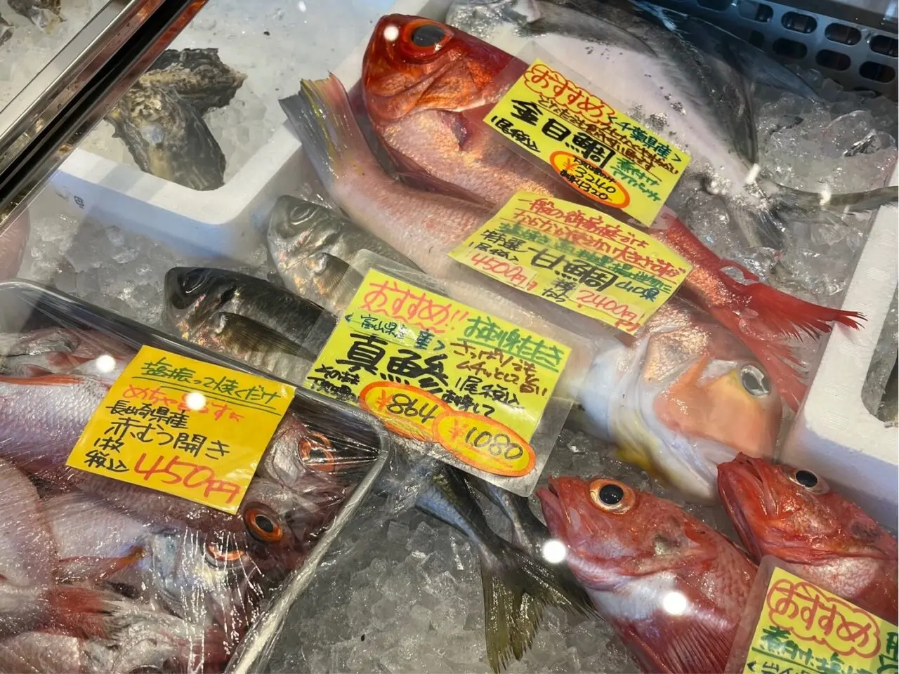 うおたつ４