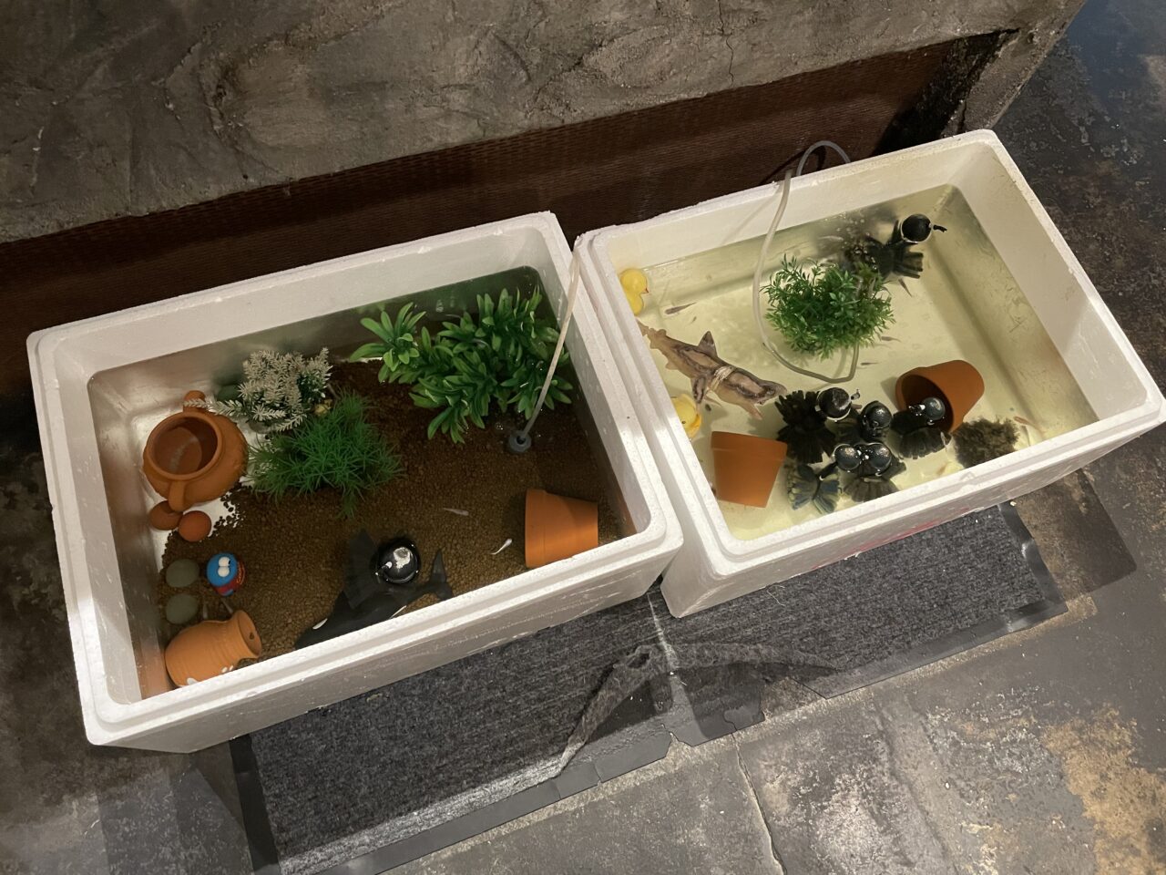 おっとっと３