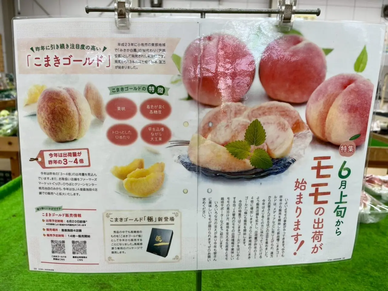 もも２