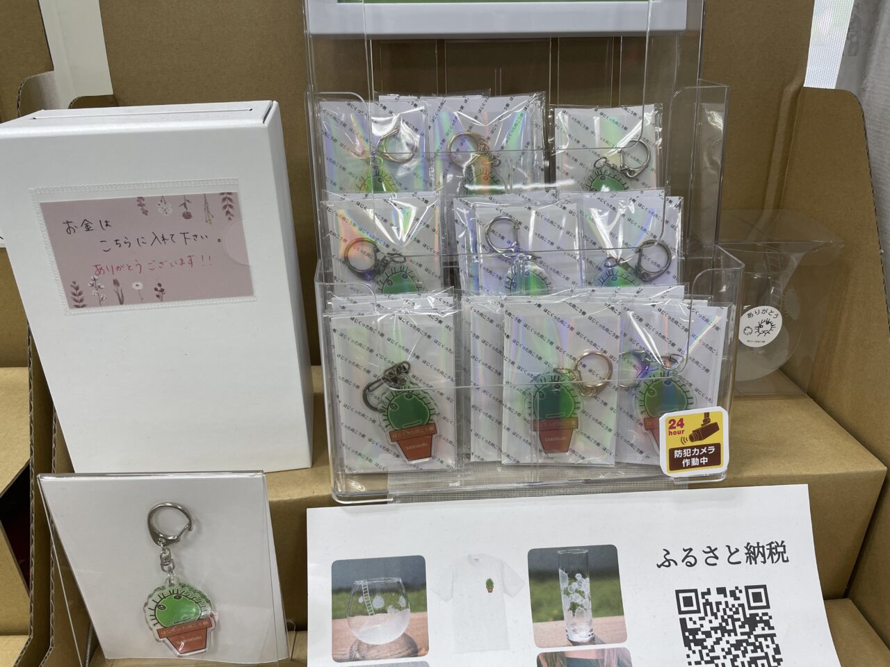 サボテン２