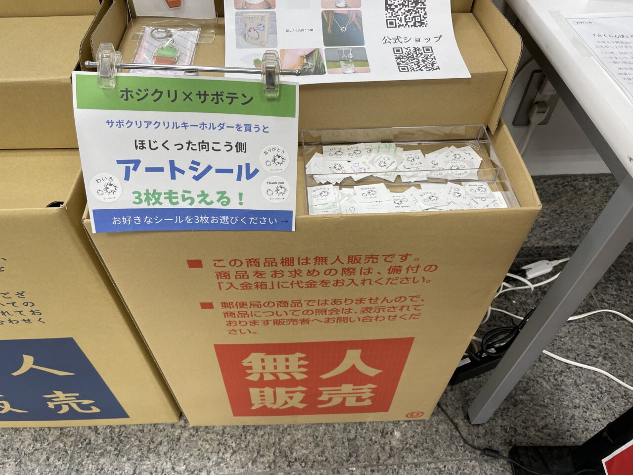 サボテン３