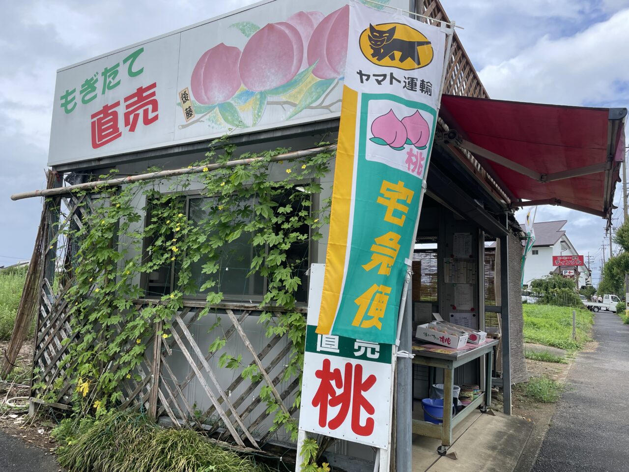 桃