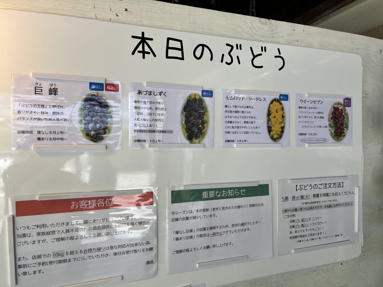 ぶどうー２