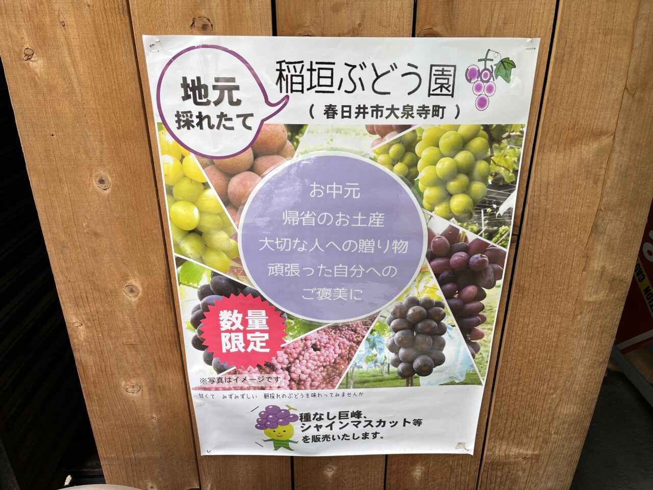 ぶどうー１