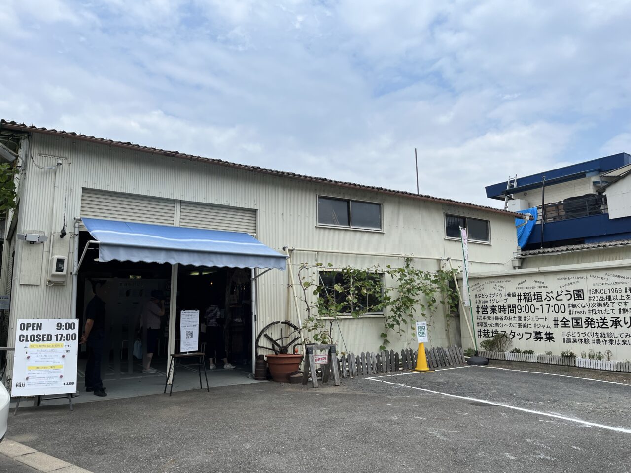 ぶどうー５