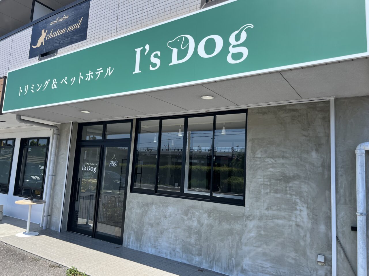 ドッグ