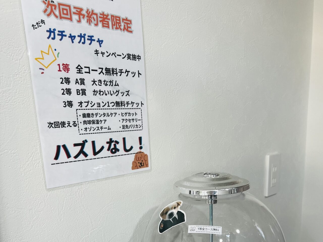 ドッグ４