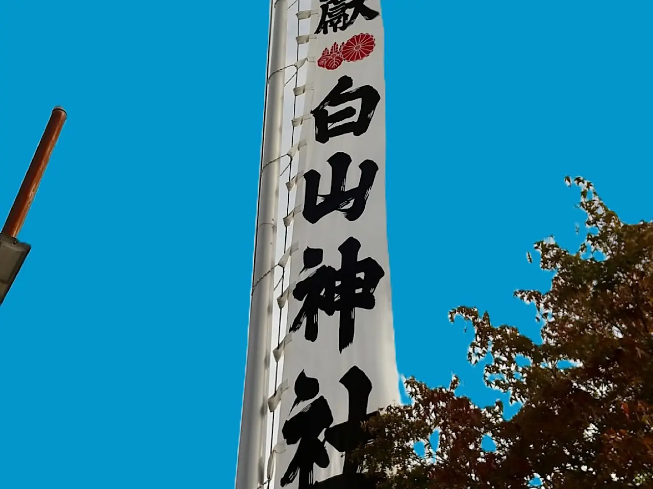 白山ー１