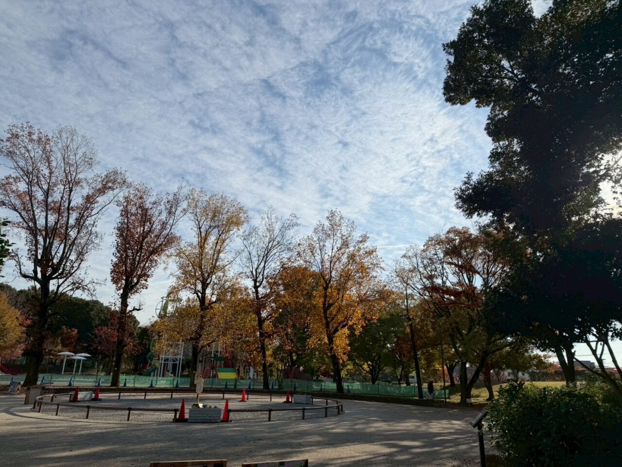 朝宮公園ー3