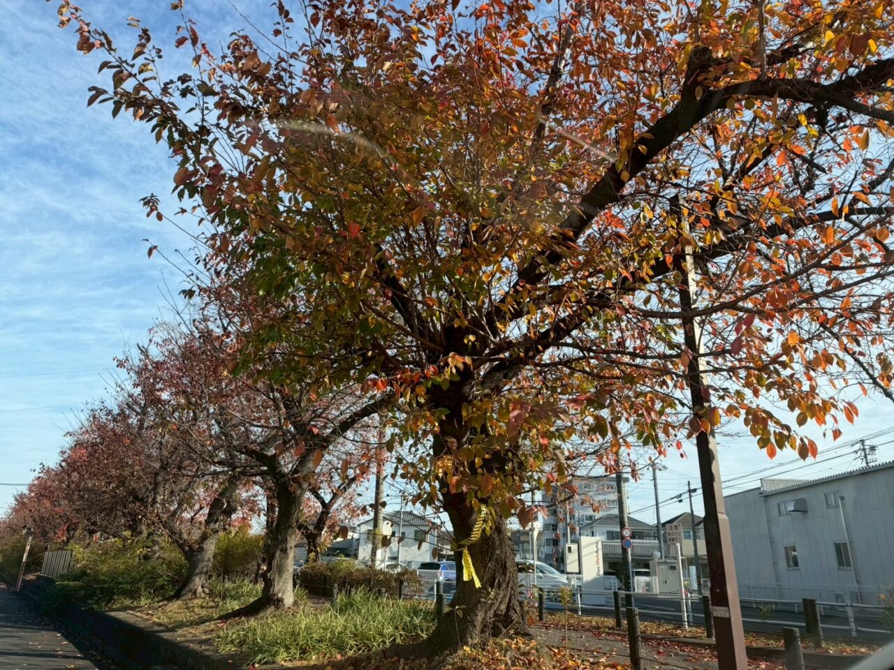 すいどうみちー１