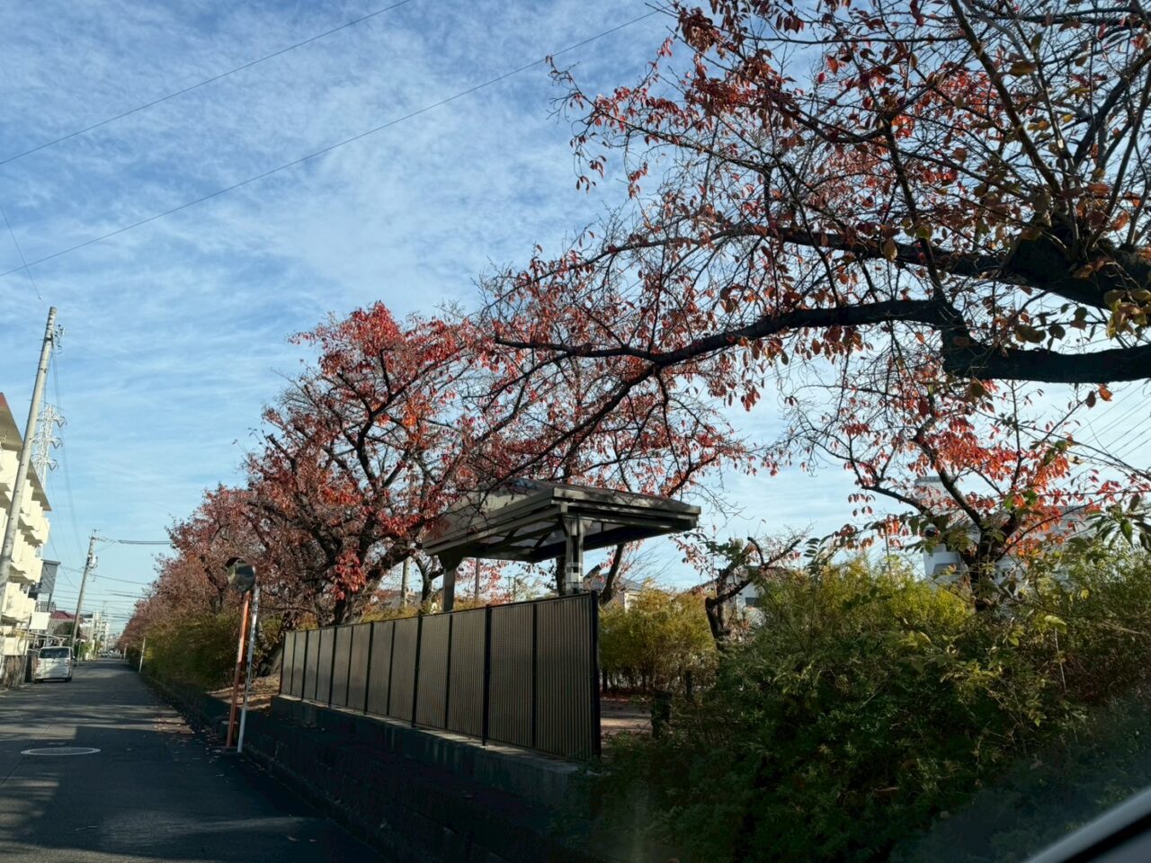 すいどうみちー２