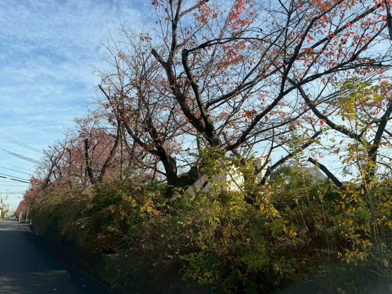 すいどうみちー３