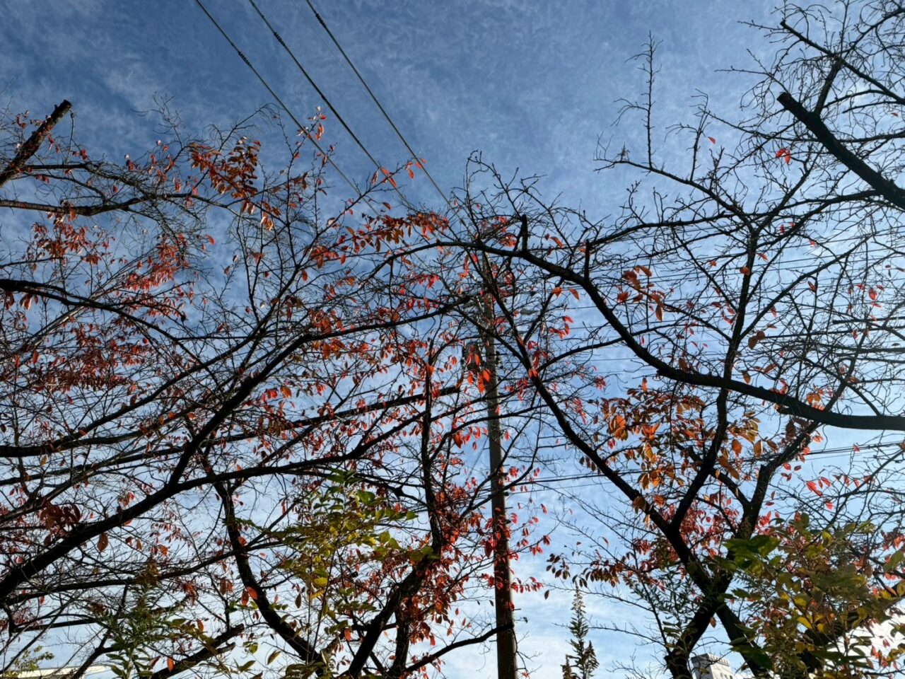 すいどうみちー４