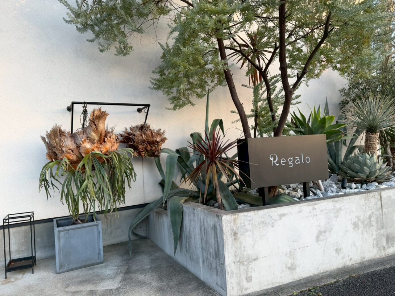 レガロキャンペーンー１