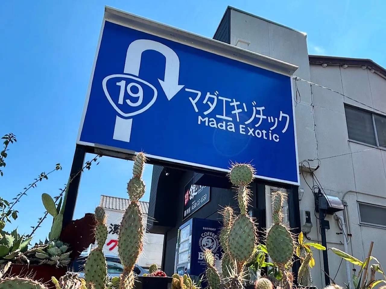 マダエキゾチックー１