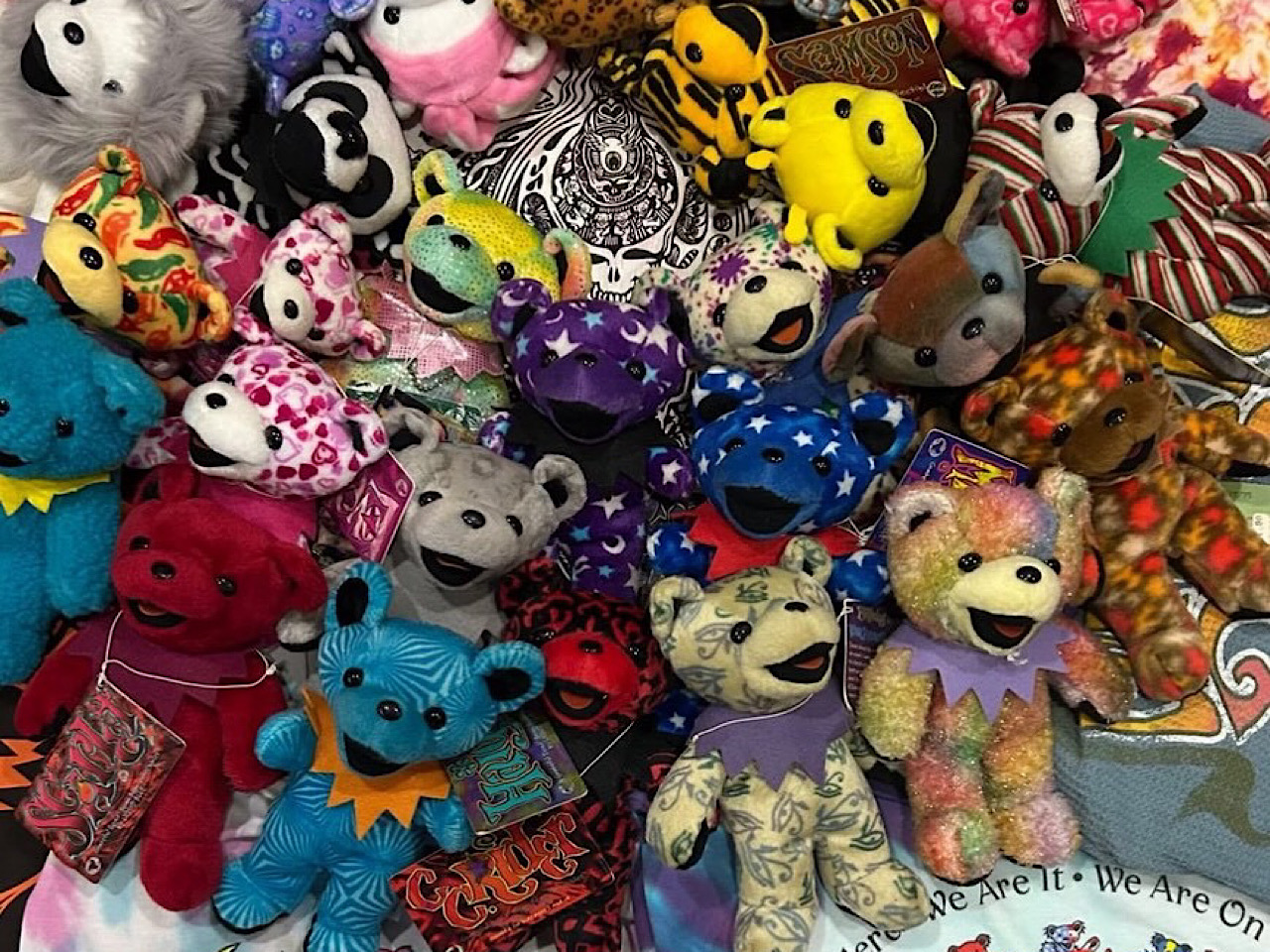 マダエキゾチックー４