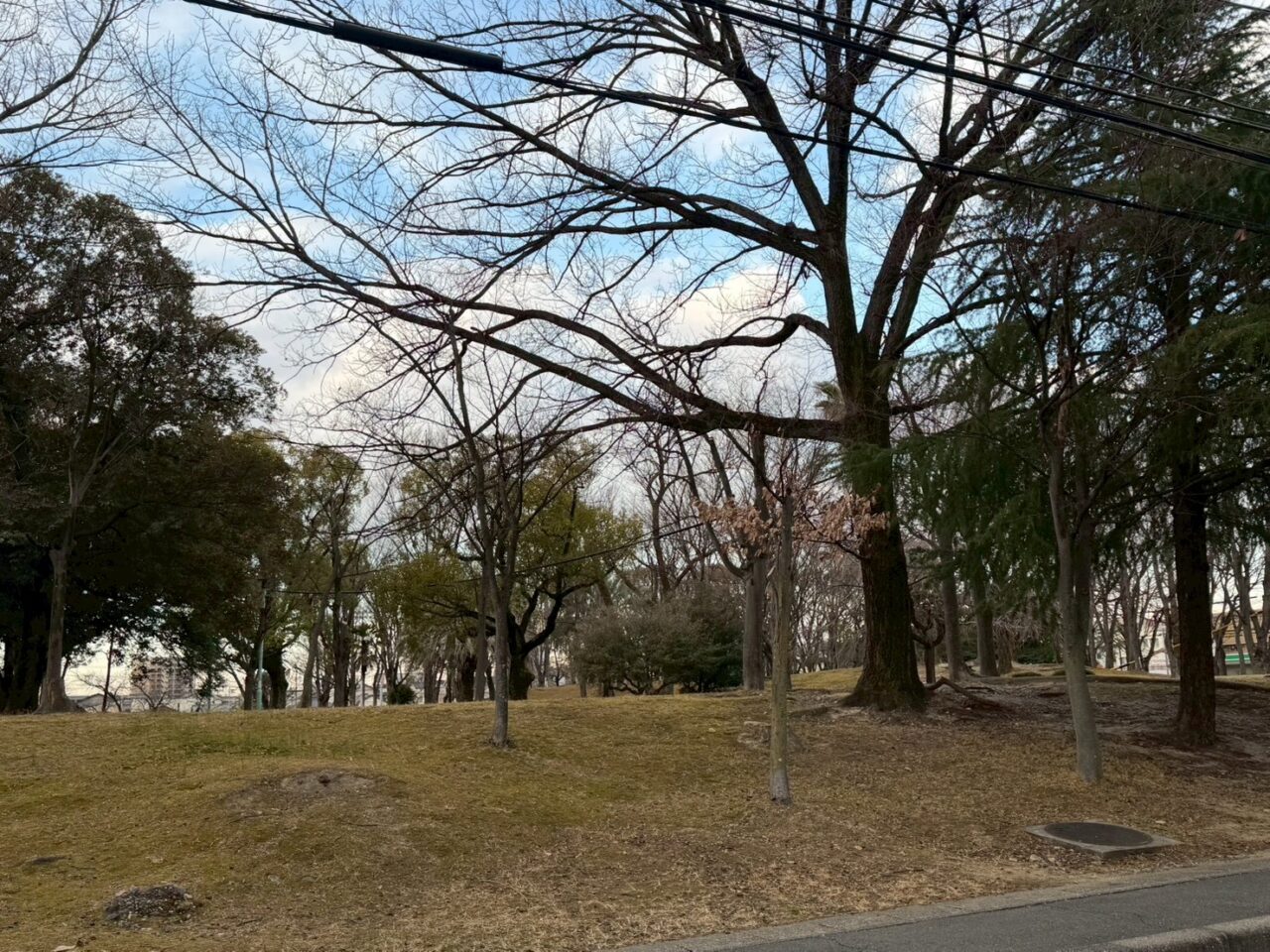中央公園ー４
