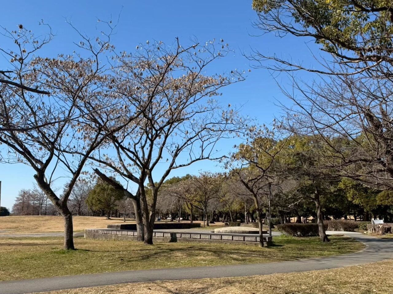 公園整備ー３