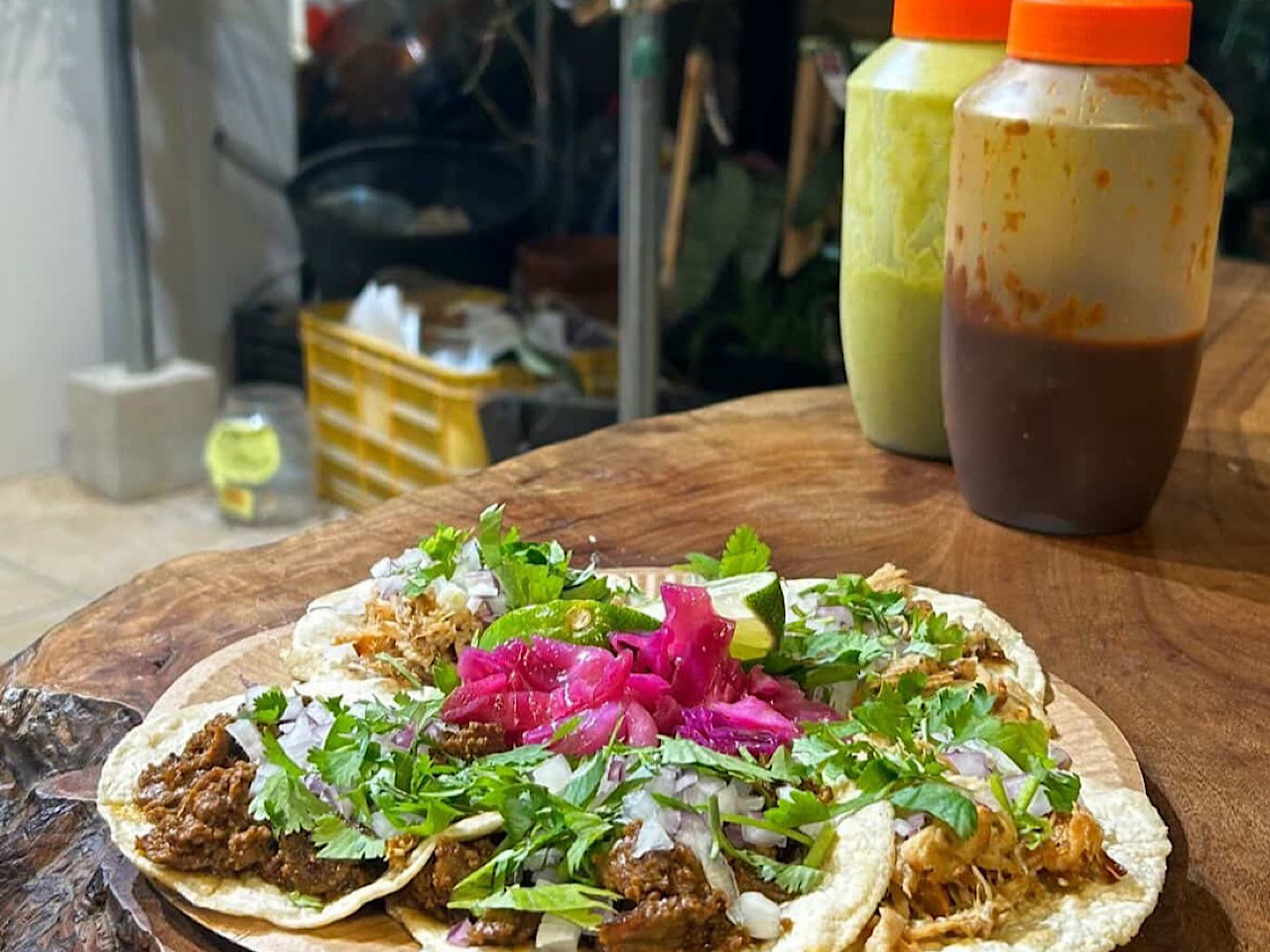 エキゾチックー１