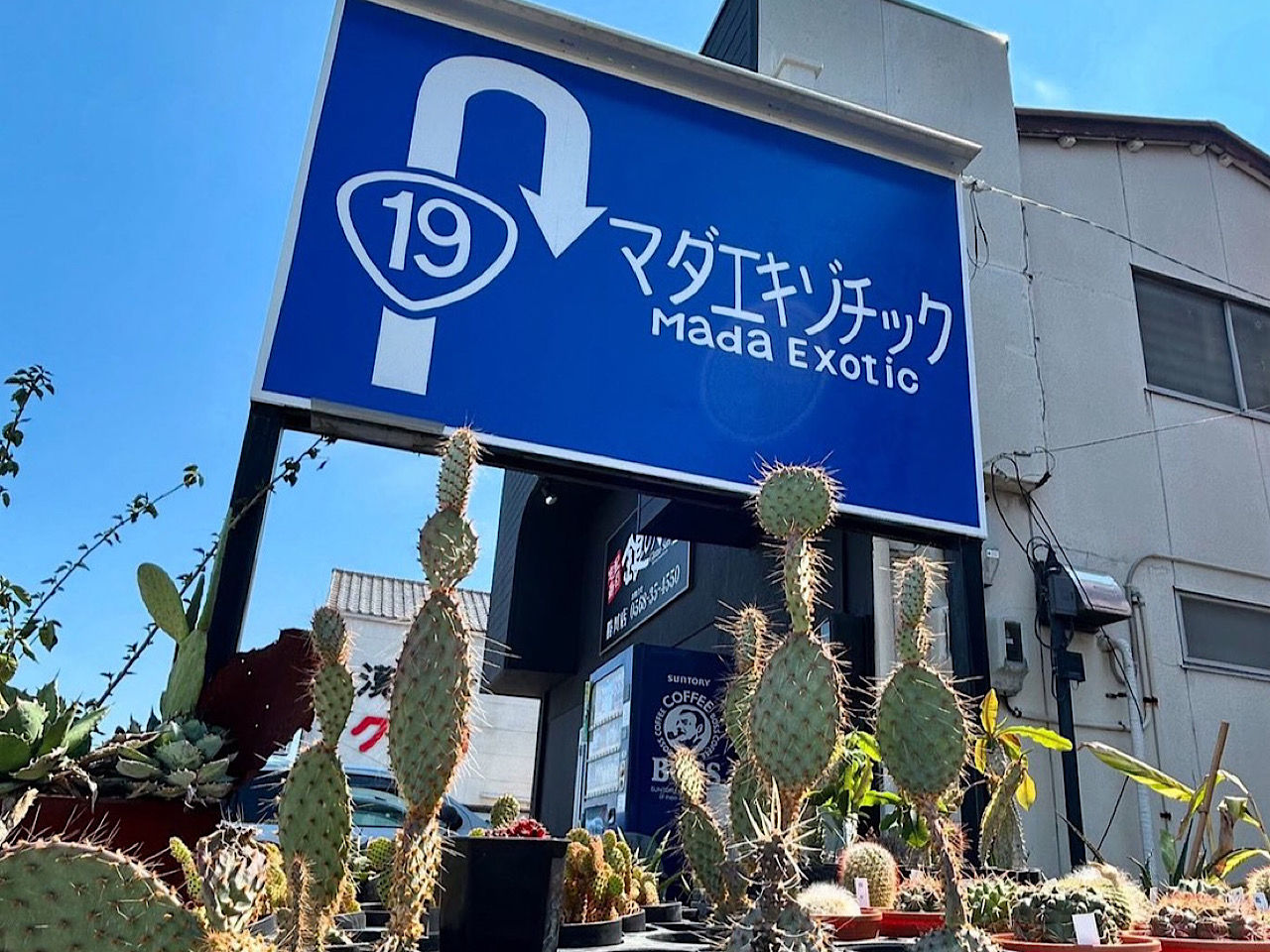 エキゾチックー３