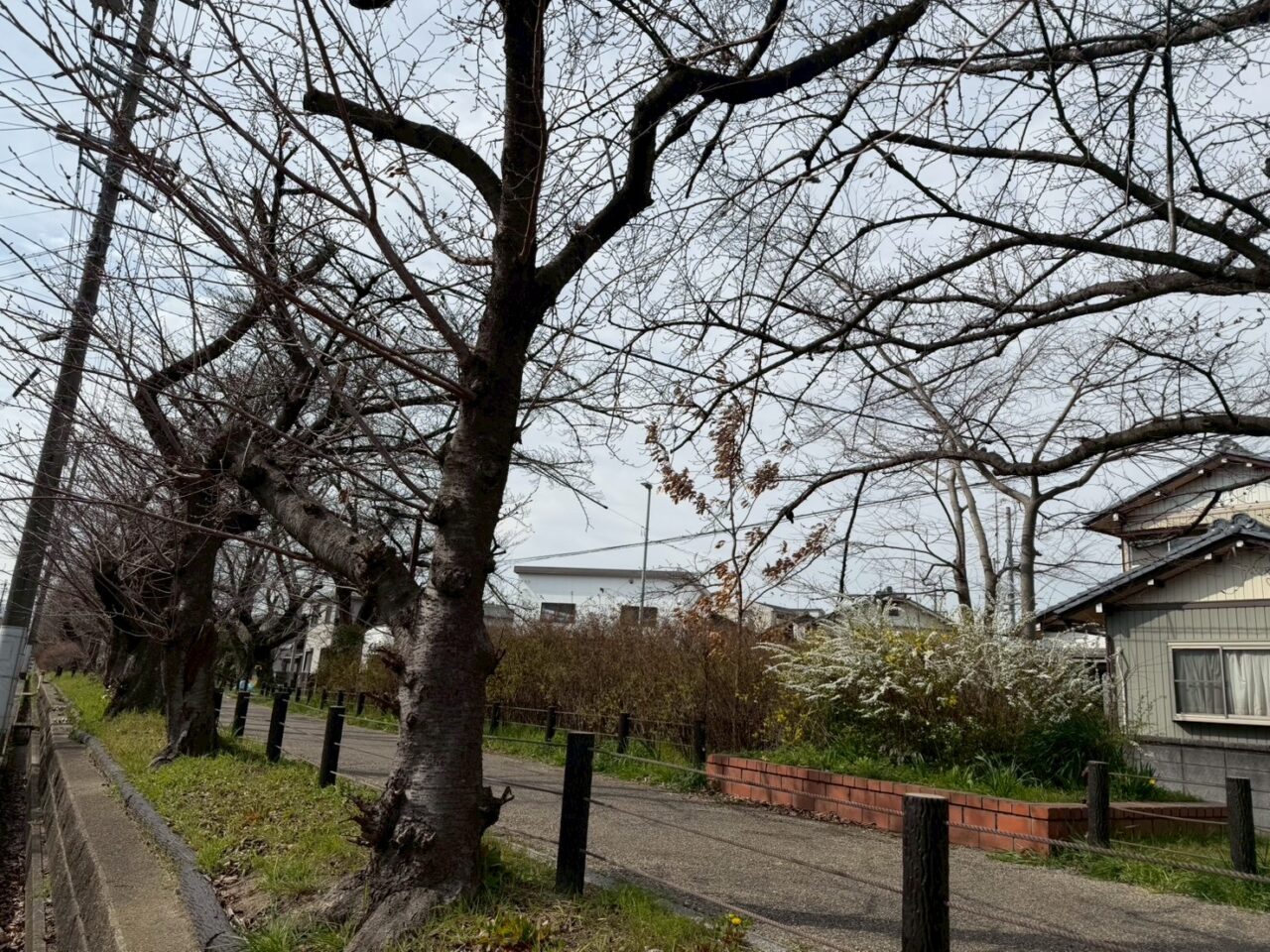 すいどうみちー１