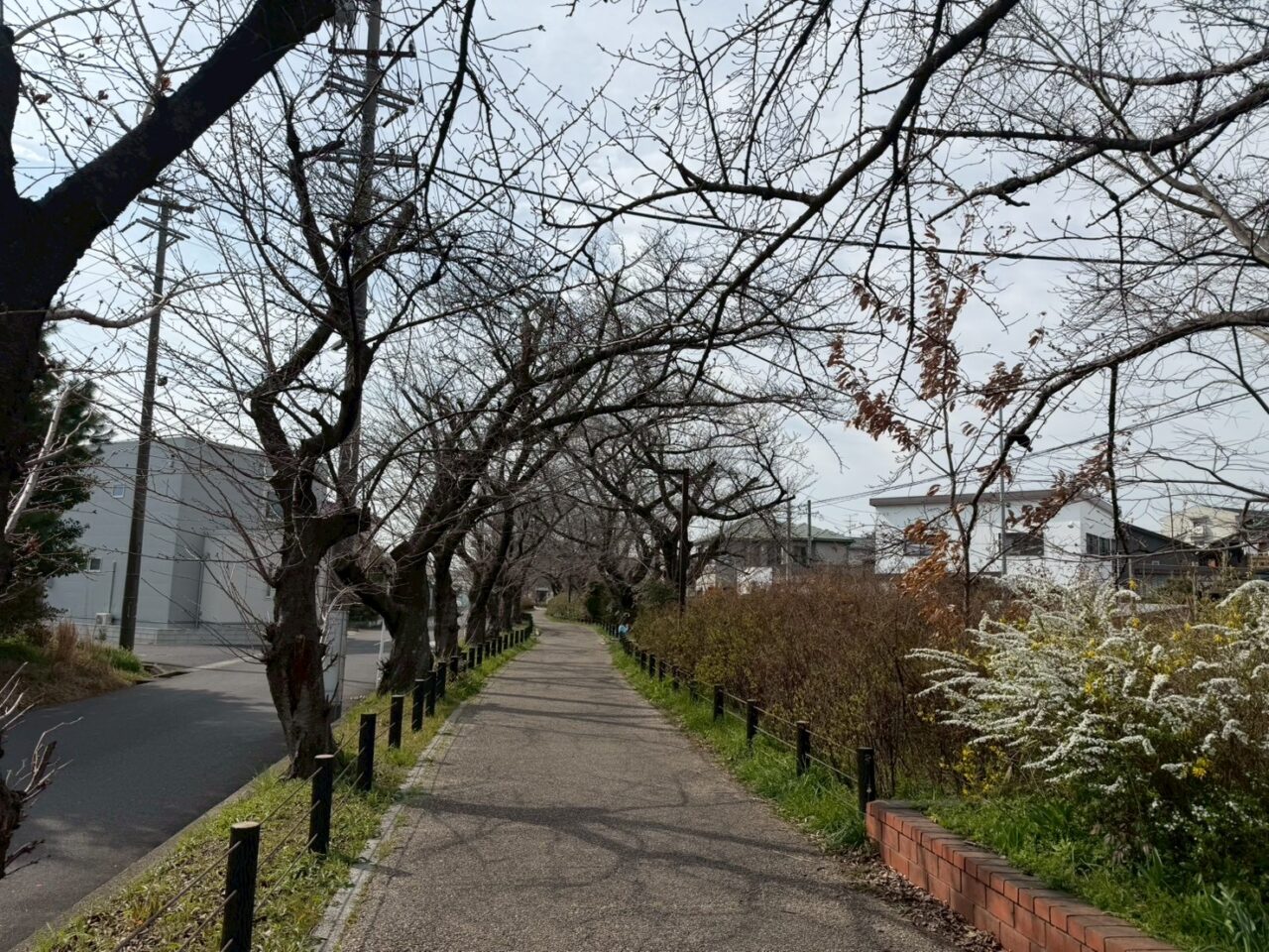 すいどうみちー２