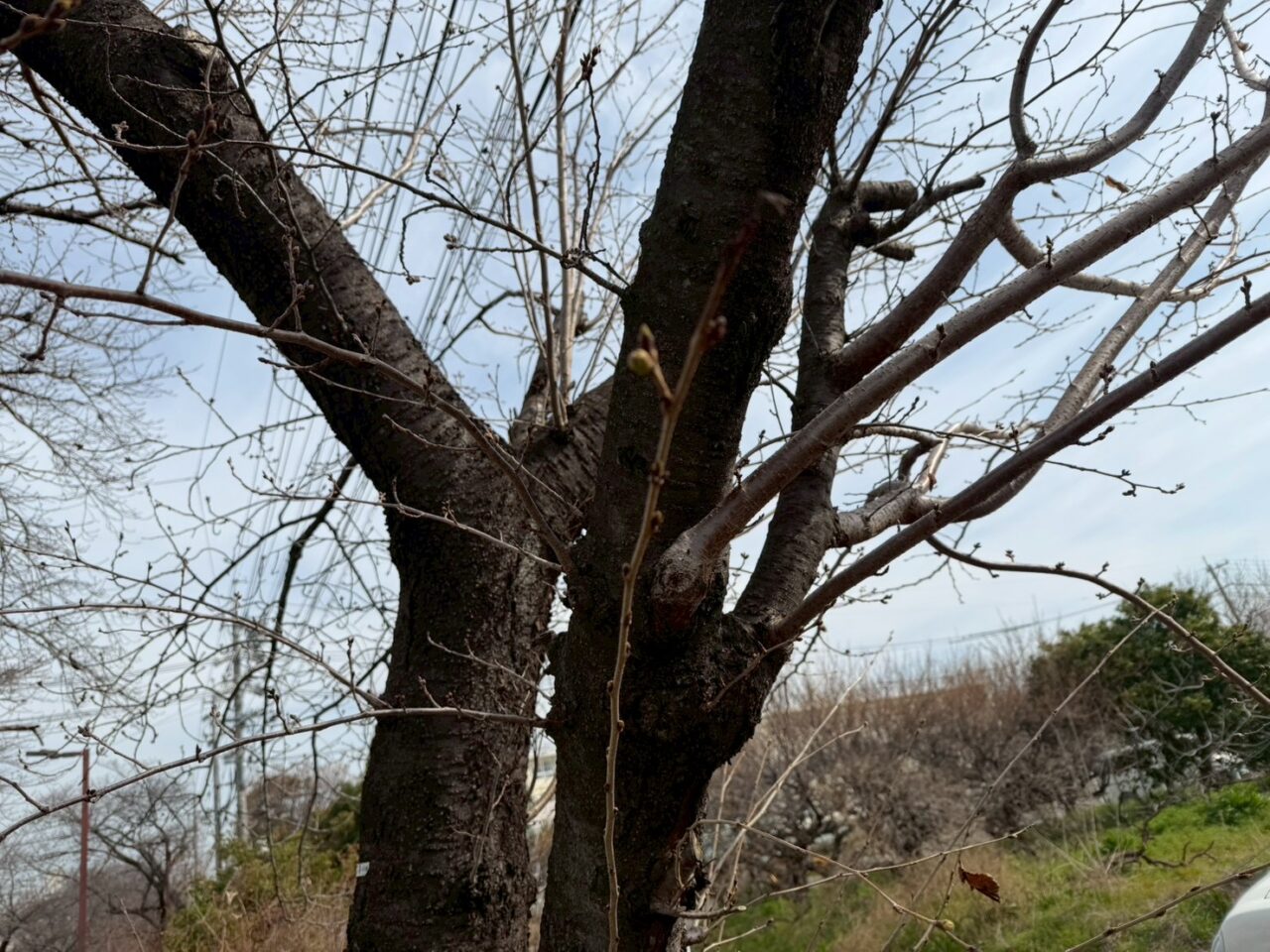 すいどうみちー３