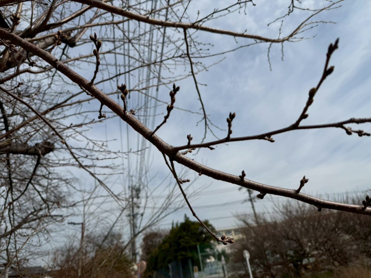 すいどうみちー４