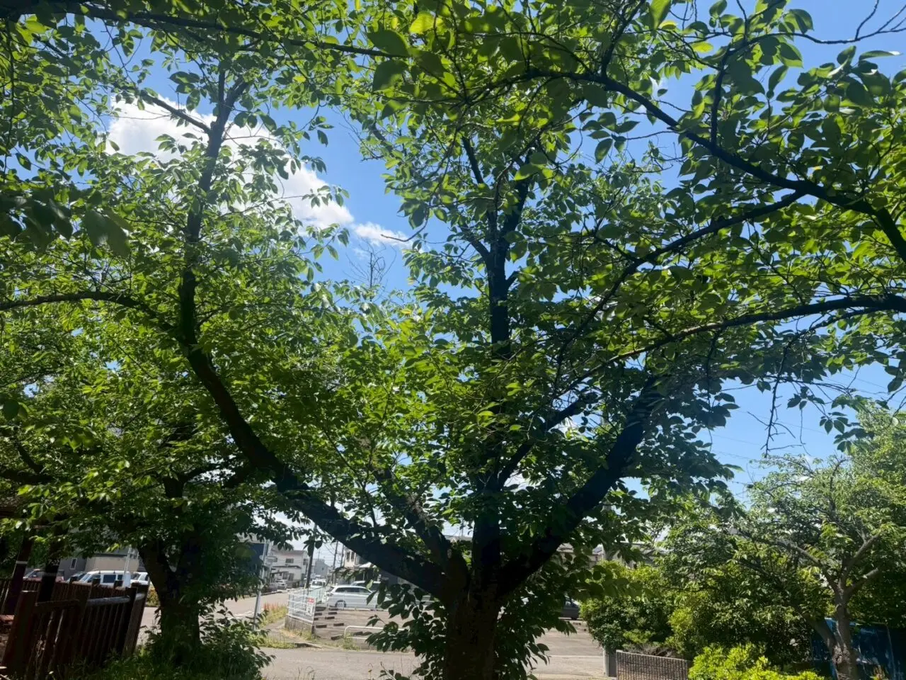 水道道３ー１