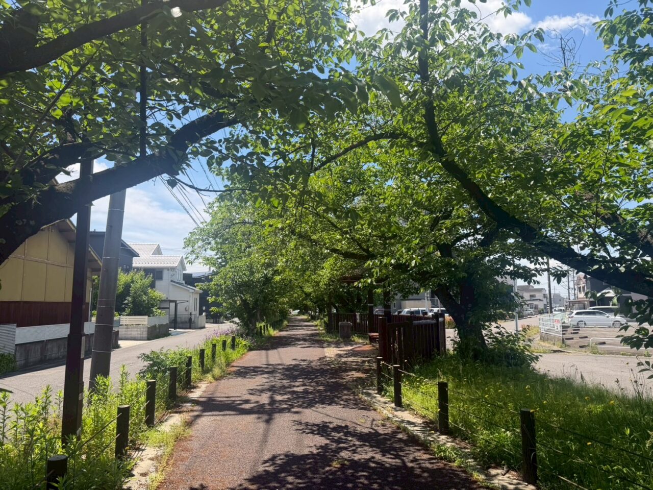 水道道３ー２