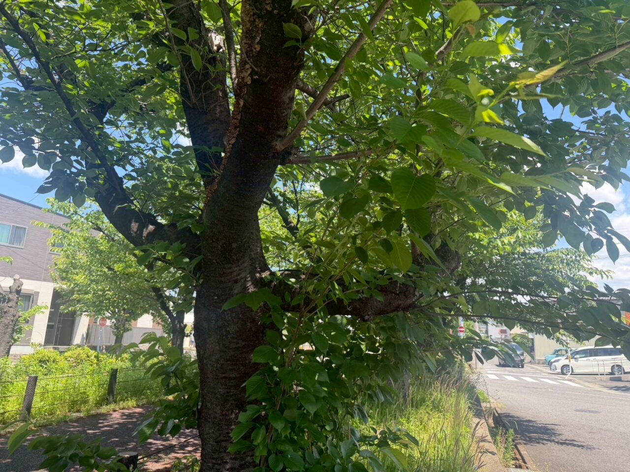 水道道３ー３