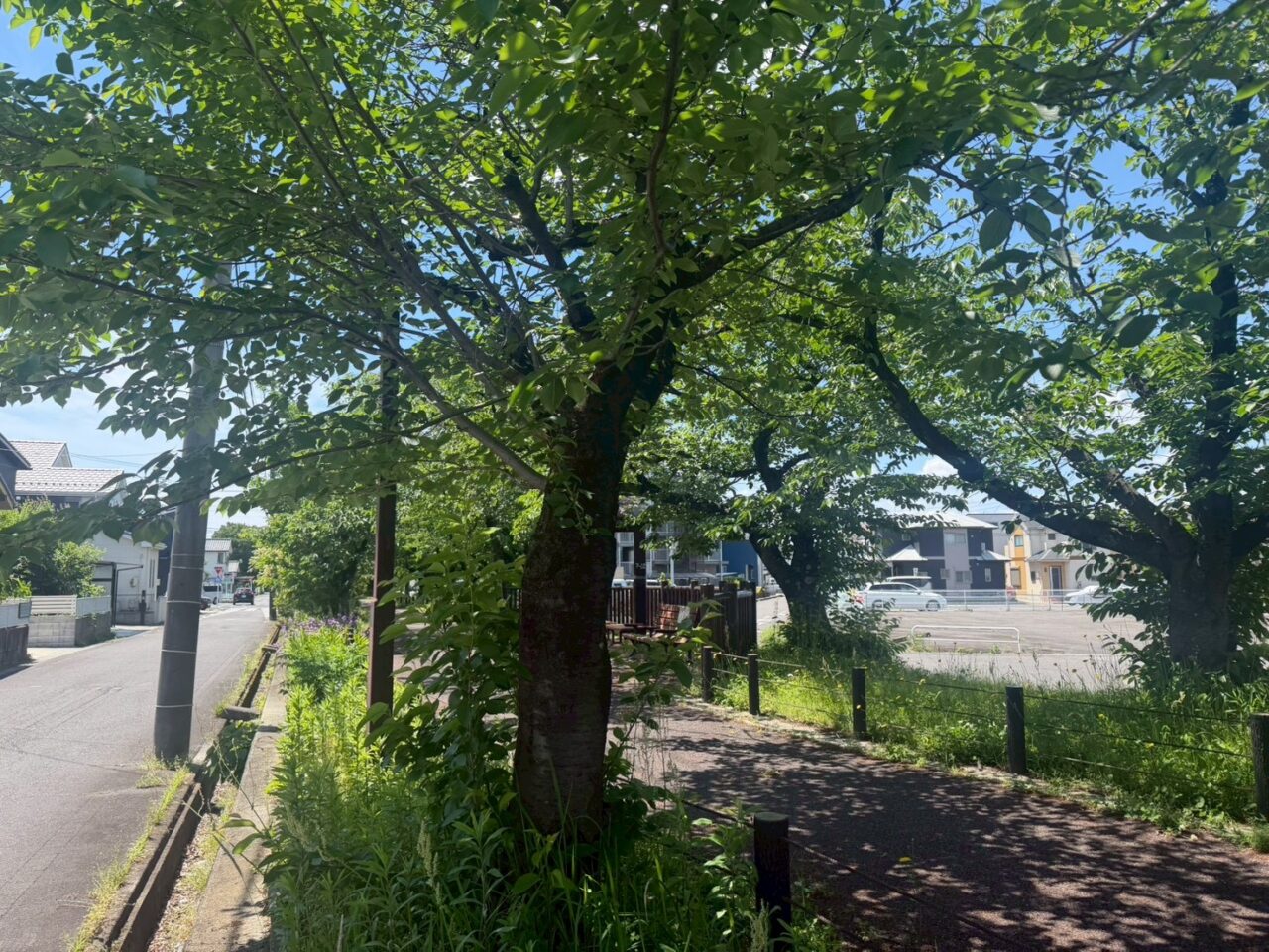 水道道３ー４