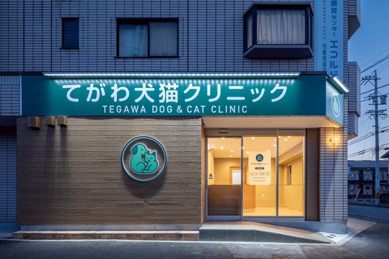 てがわー1