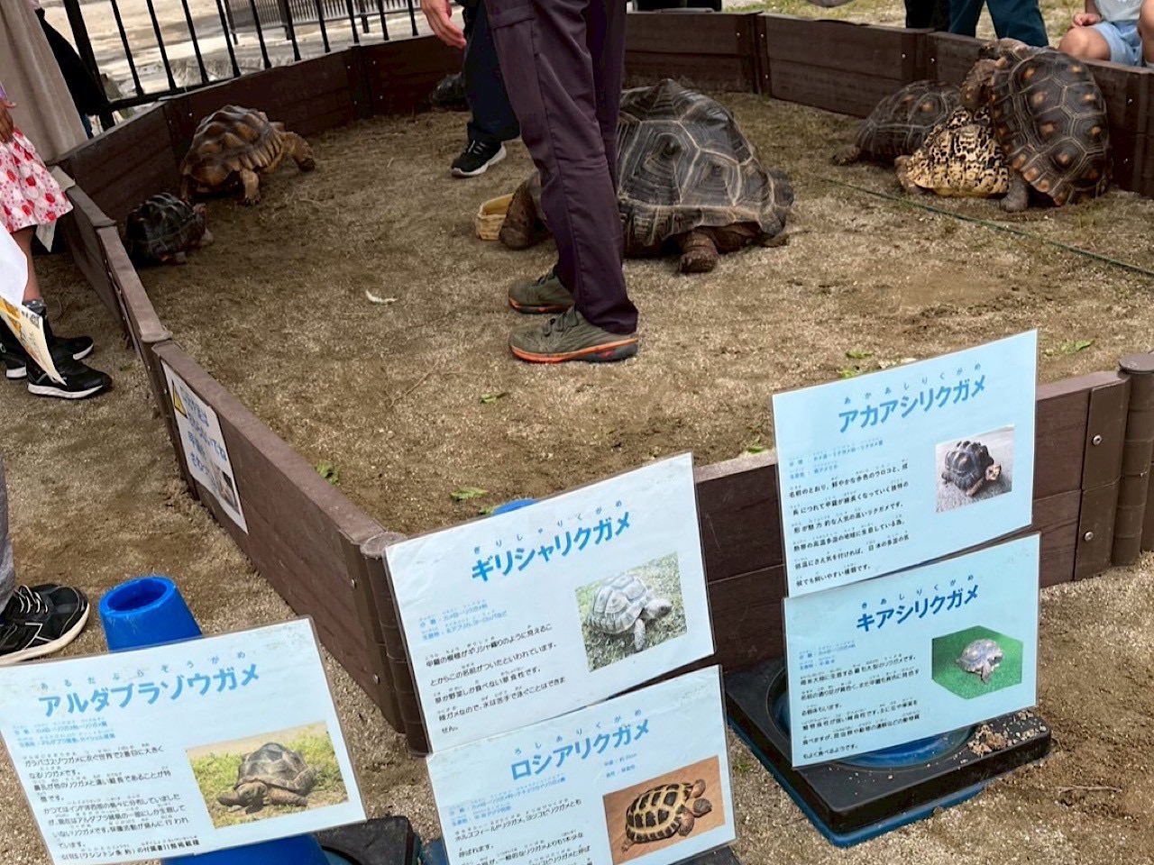 カメー4