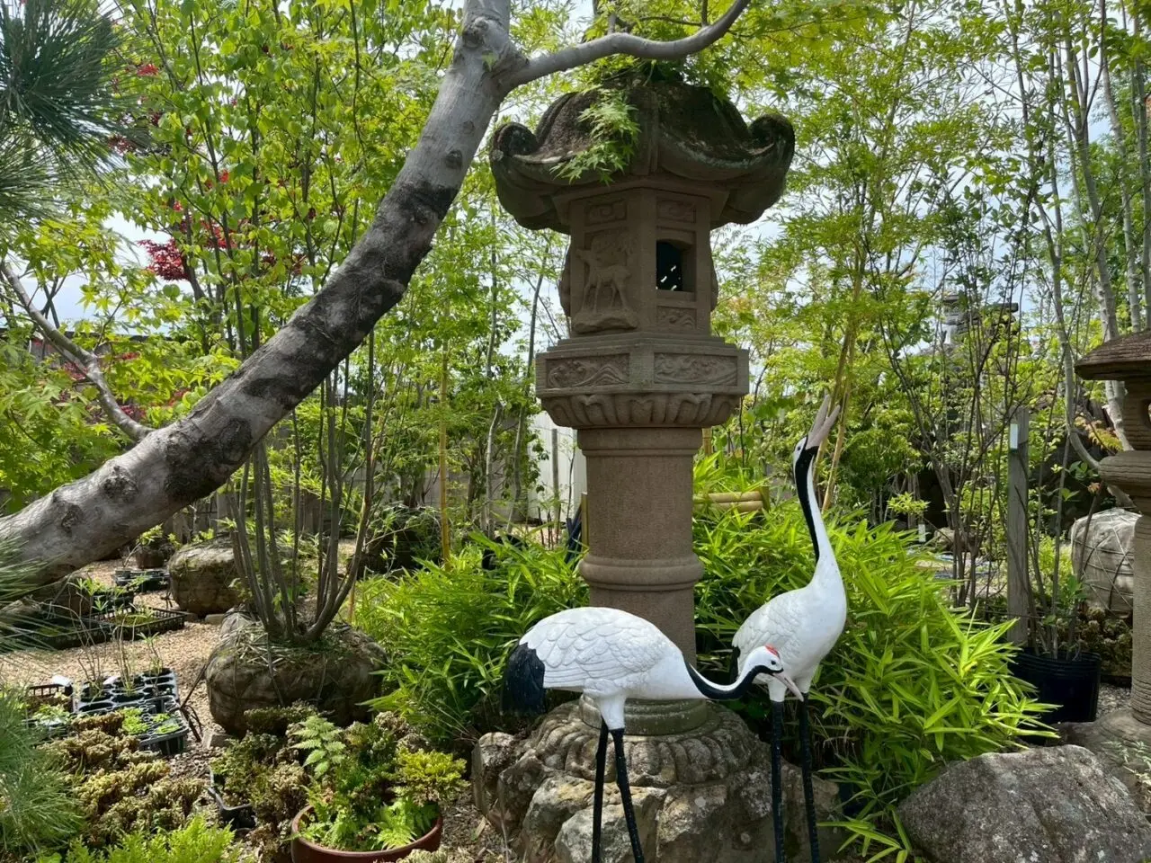 春日井の森ー１