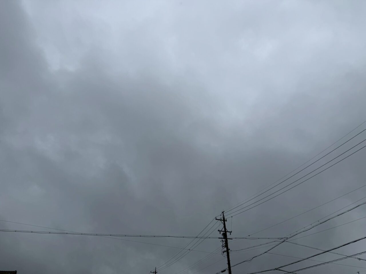台風6ー3