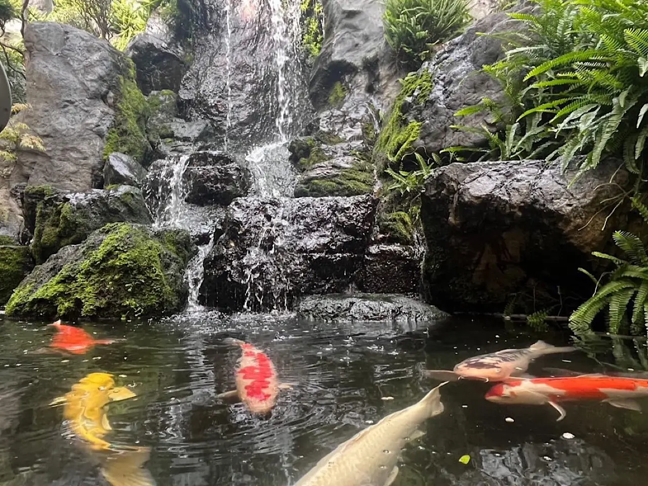 春日井温泉ー２