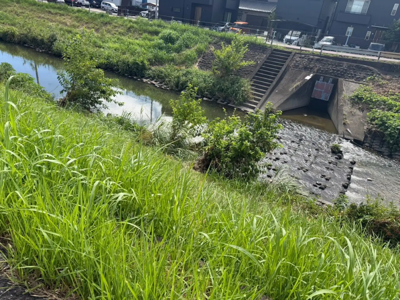 八田川ー1